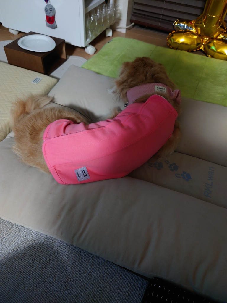 レビュー画像