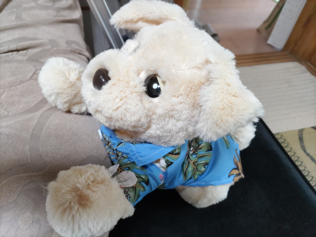 全体のレビュー画像 | 6-0