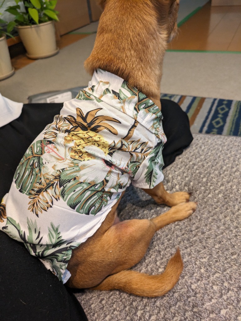 全体のレビュー画像 | 2-0