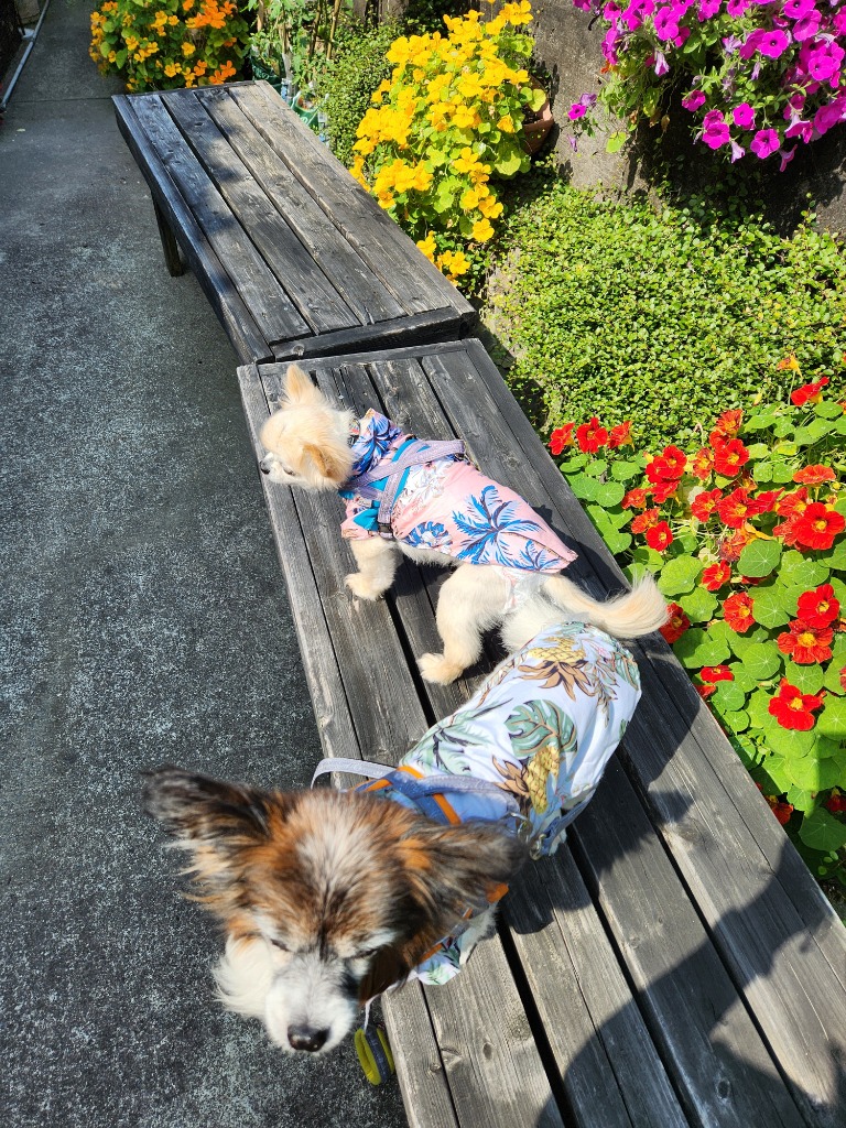 全体のレビュー画像 | 1-1