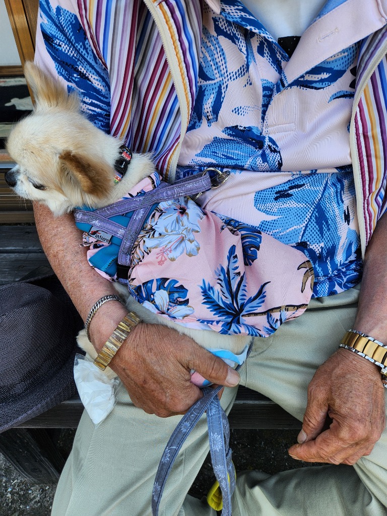 全体のレビュー画像 | 1-2