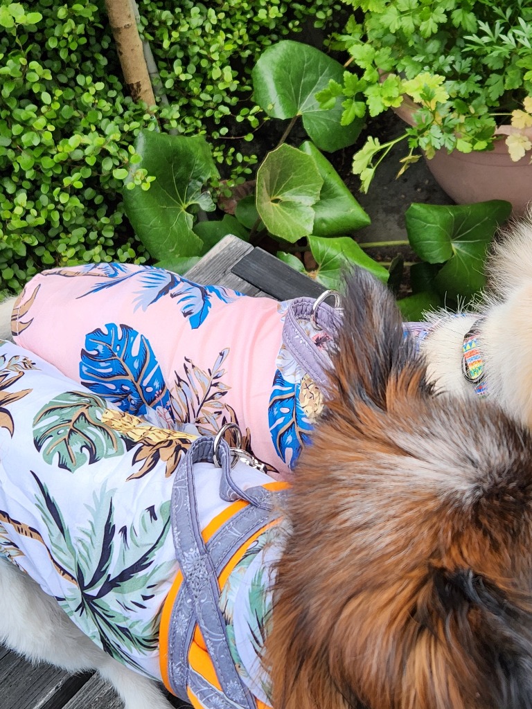 全体のレビュー画像 | 1-3