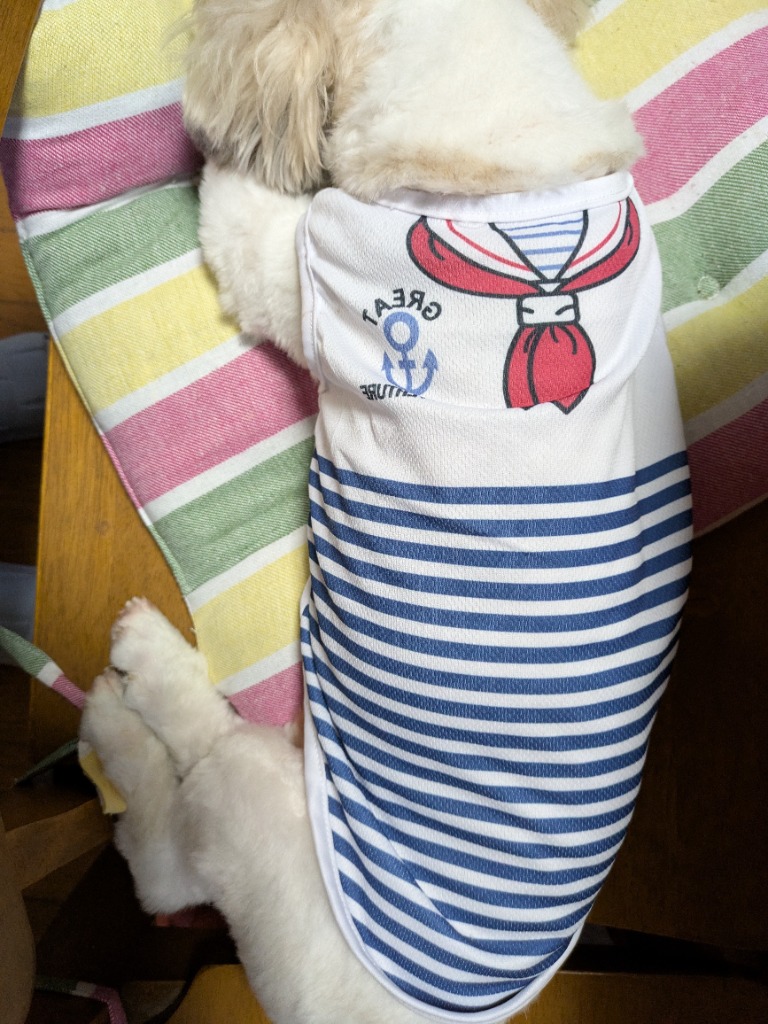 全体のレビュー画像 | 0-2