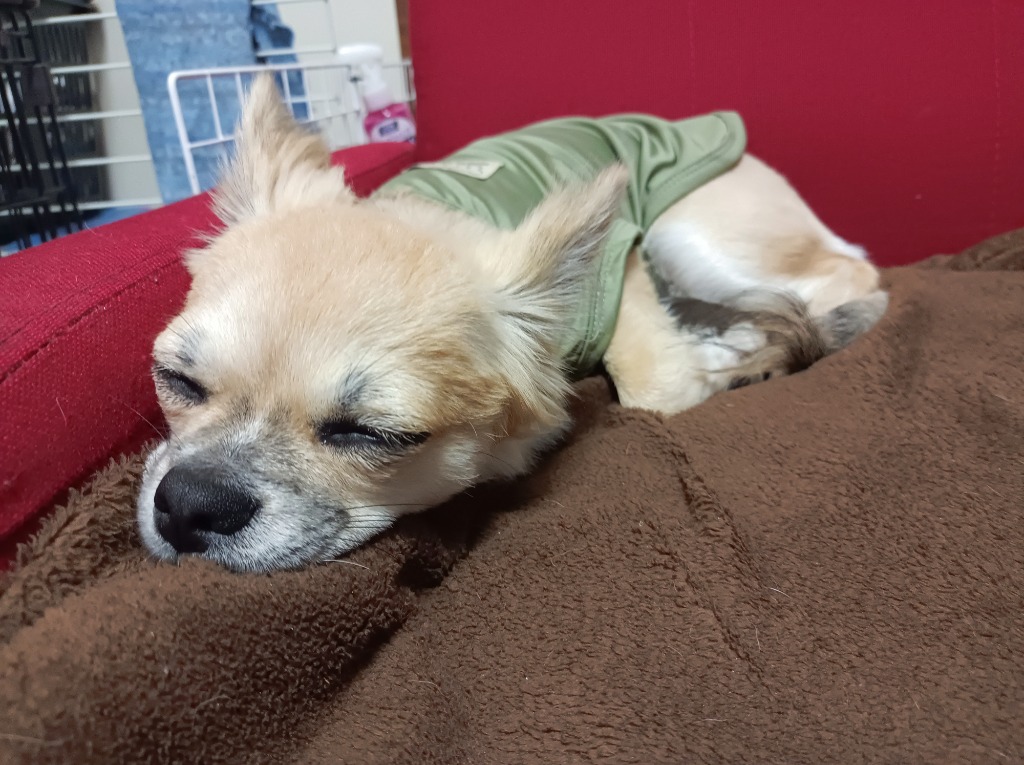 全体のレビュー画像 | 0-2