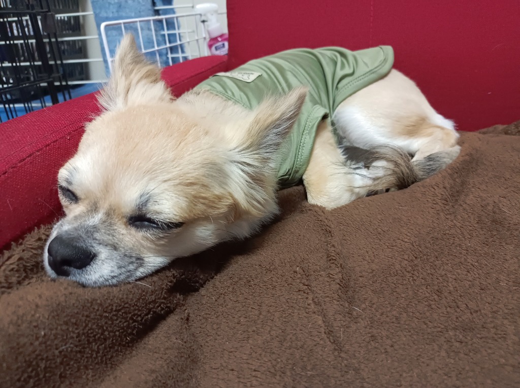 全体のレビュー画像 | 0-1