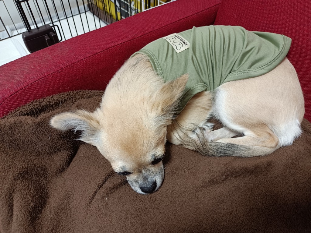 全体のレビュー画像 | 0-0