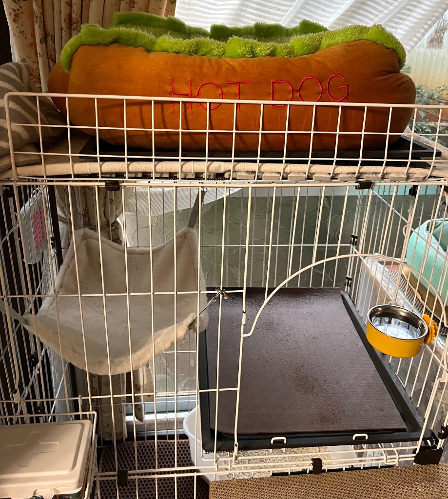 1件目のレビュー画像 | 0