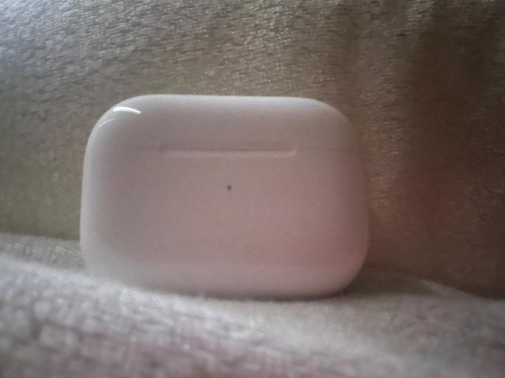 Apple AirPods Pro 充電ケース 純正バラ売り 国内正規品 MWP22J/A 新品