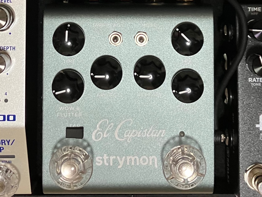 Strymon/El Capistan V2 エルキャピスタン テープエコー - 最