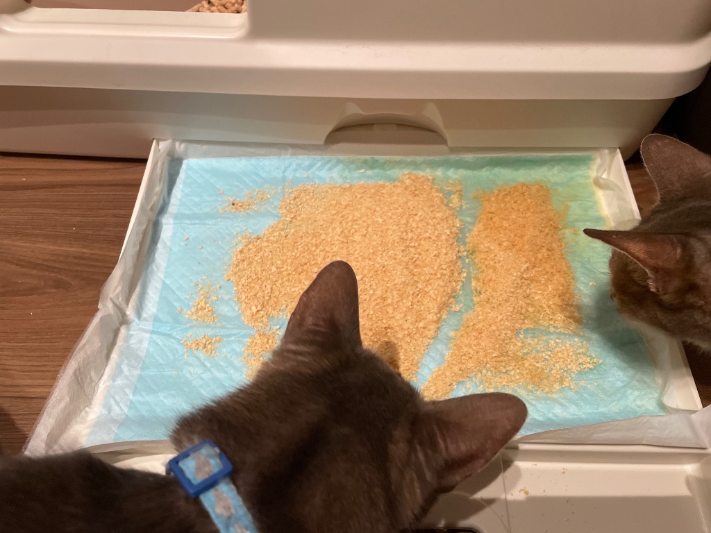 全体のレビュー画像 | 1-0