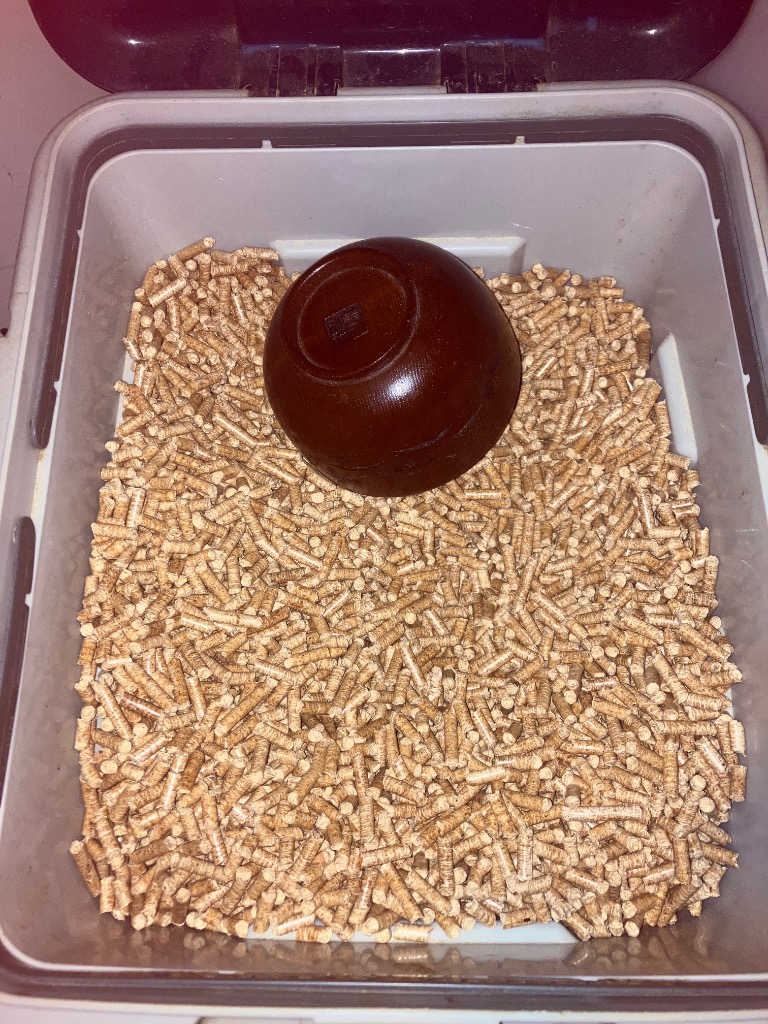 全体のレビュー画像 | 11-0