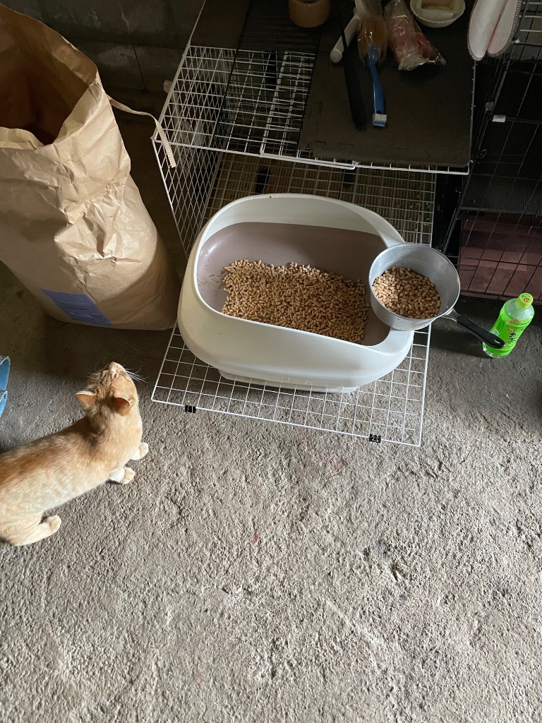 全体のレビュー画像 | 12-1