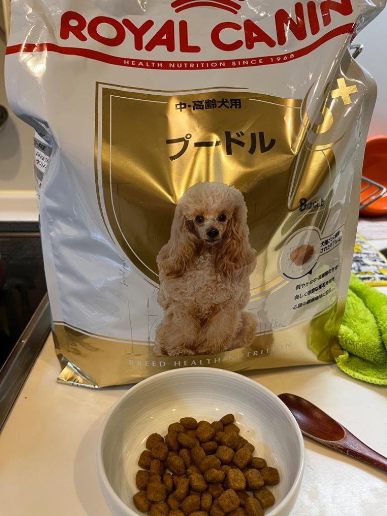 ロイヤルカナン プードル 中・高齢犬用 8+ 3kg : 3182550824545 : イ 