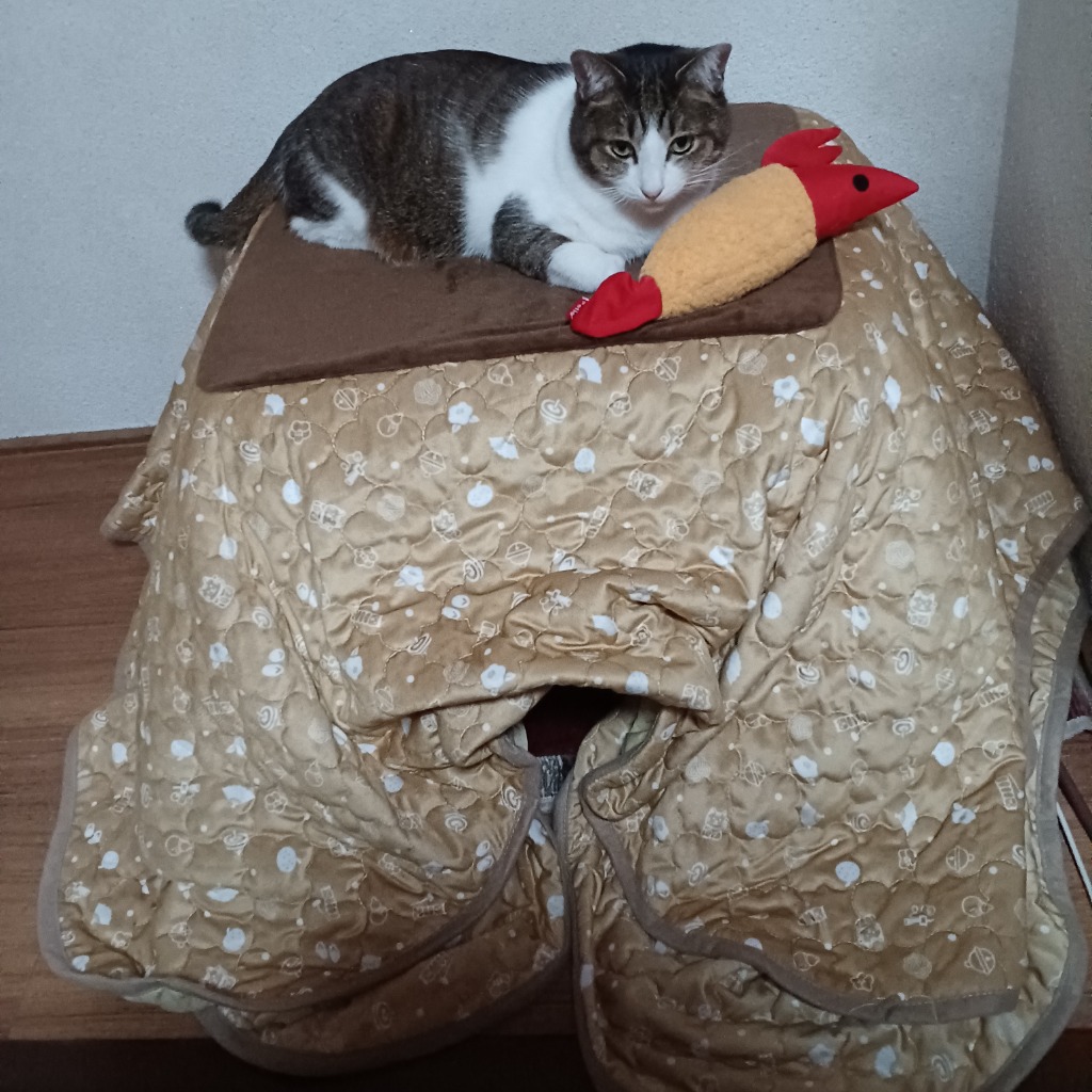 マルカン 遠赤外線にゃんこの和みこたつL用交換布団マットセット