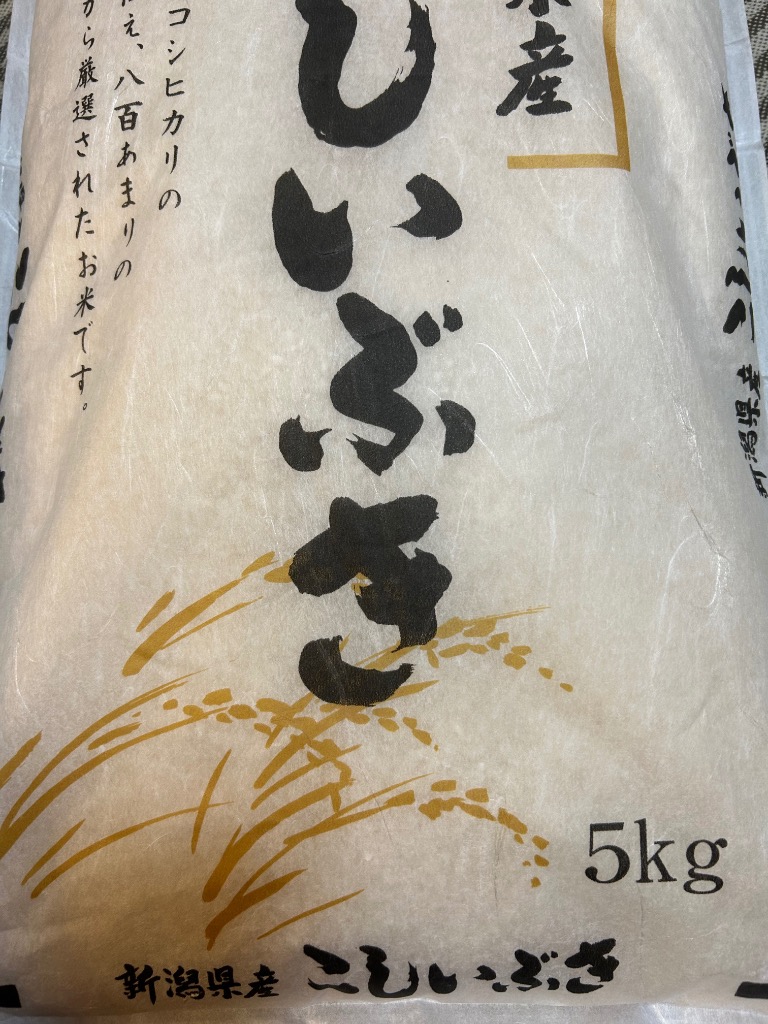 こしいぶき 5kg お米 令和6年産 新潟産 送料無料 （北海道、九州