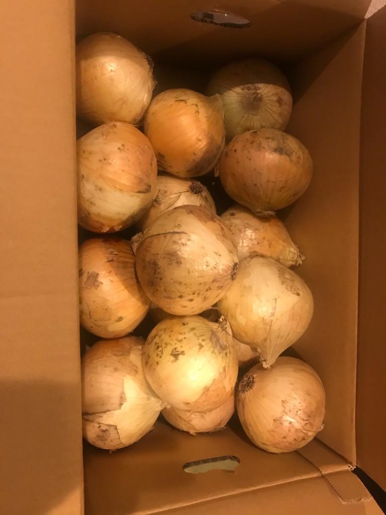 全体のレビュー画像 | 2-0