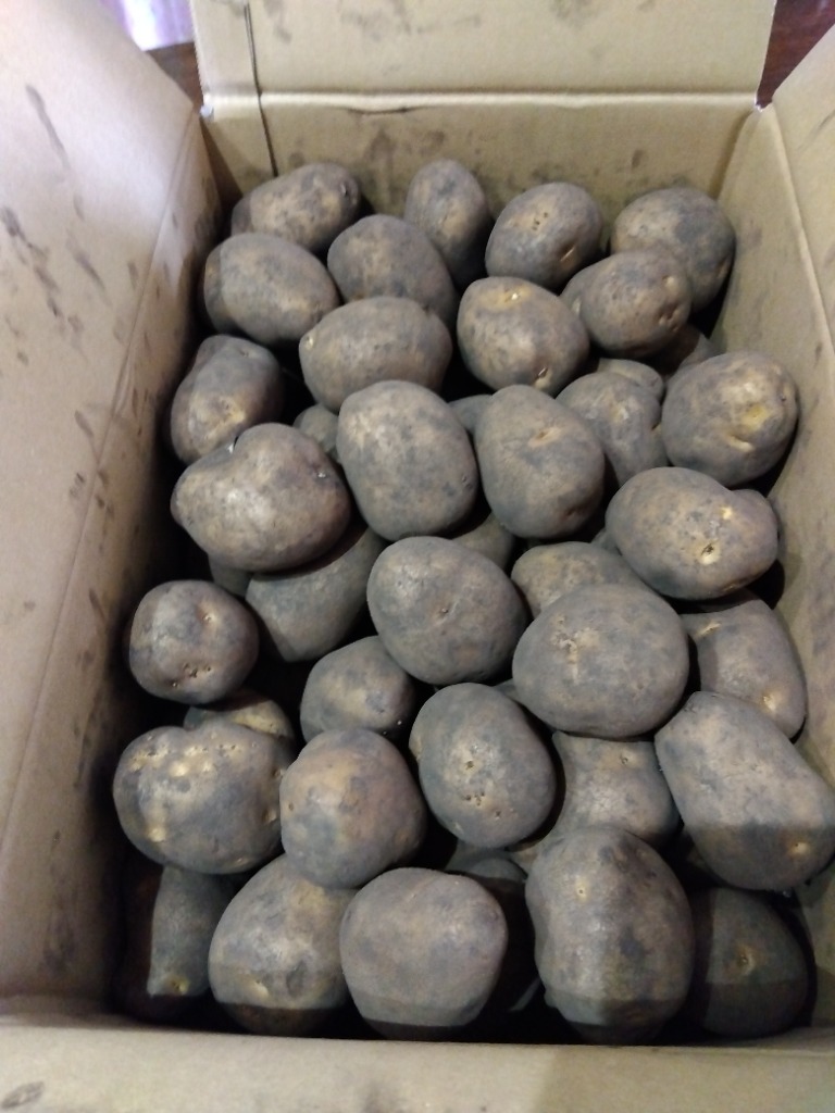 全体のレビュー画像 | 4-0