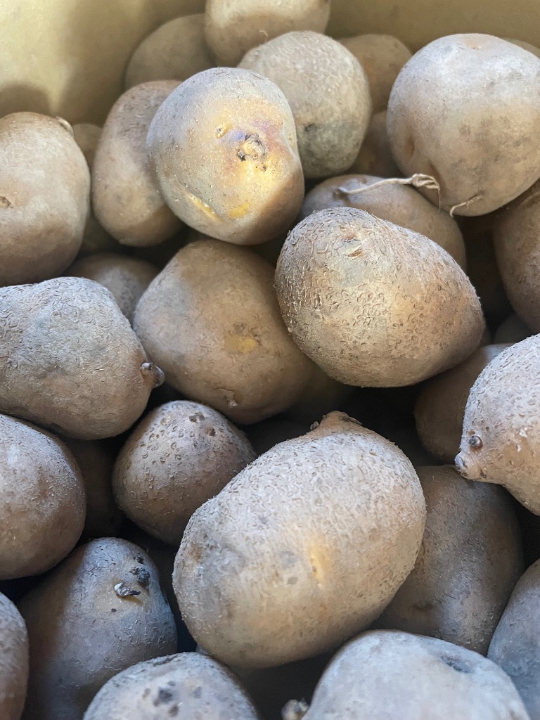 全体のレビュー画像 | 3-1