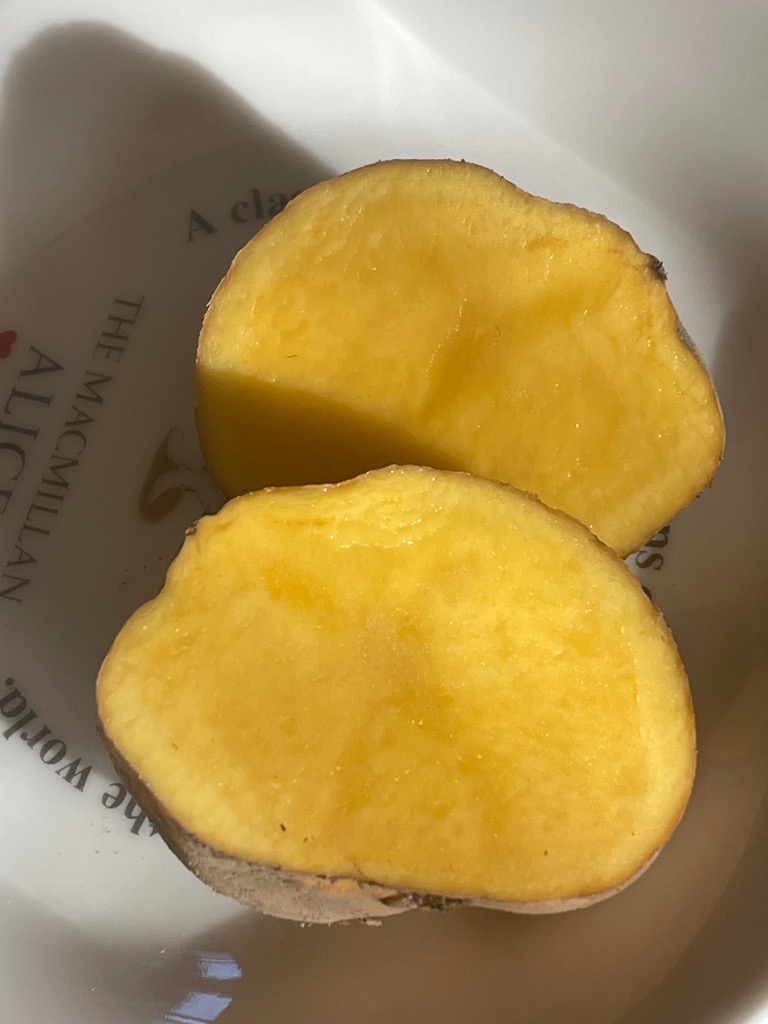 全体のレビュー画像 | 3-0