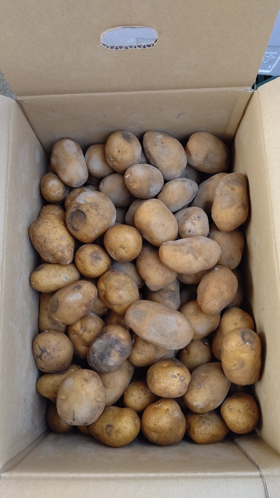 全体のレビュー画像 | 11-0