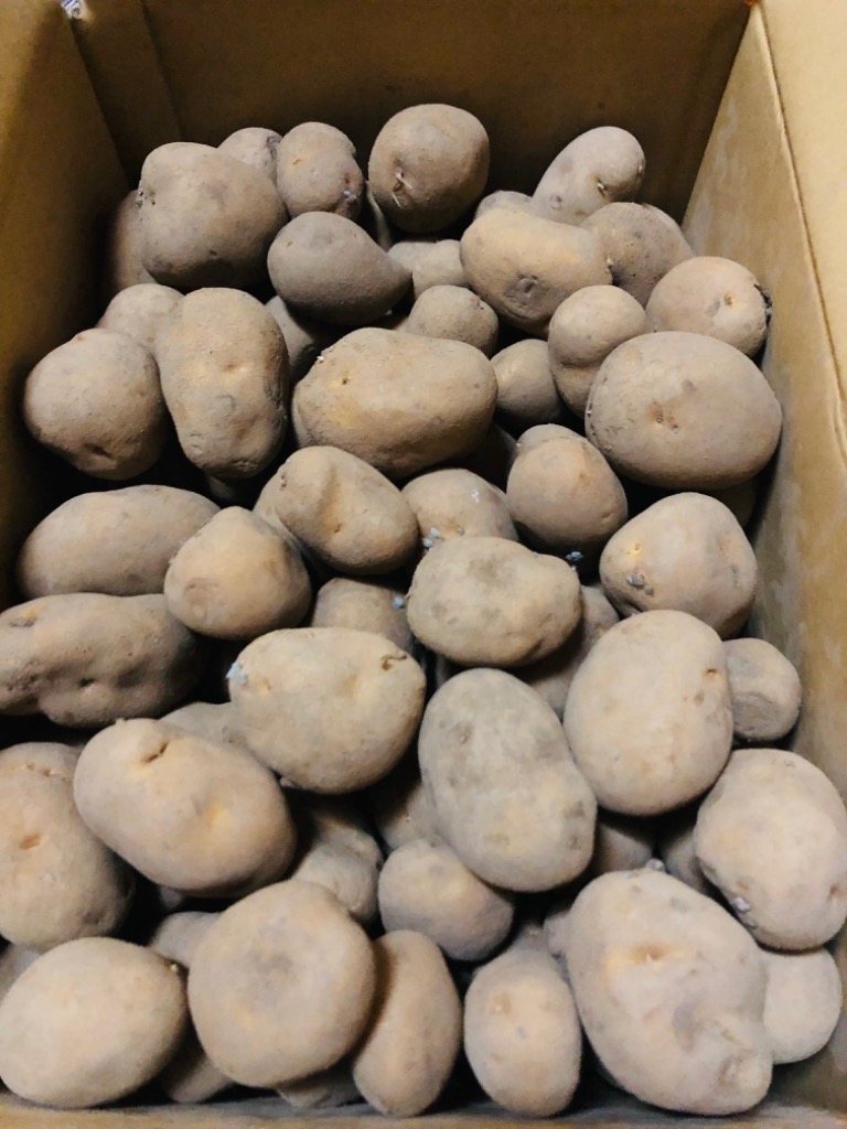 全体のレビュー画像 | 12-0