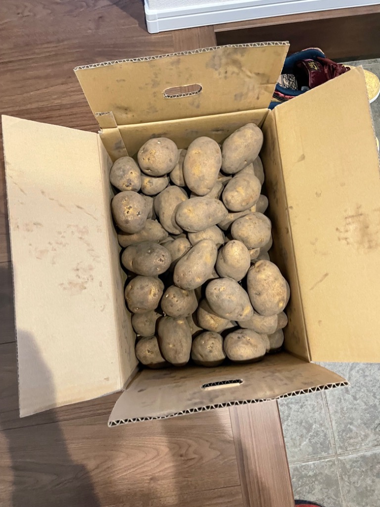 全体のレビュー画像 | 10-0