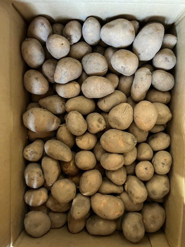 全体のレビュー画像 | 2-0