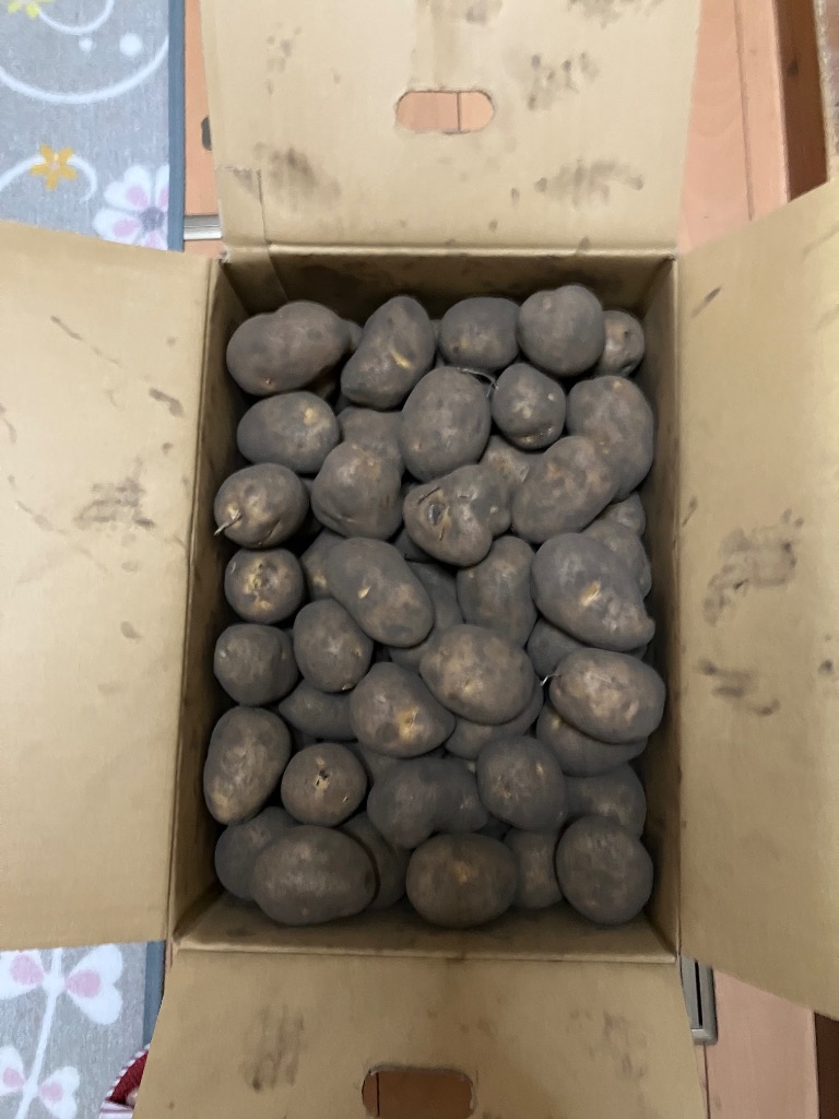 全体のレビュー画像 | 3-1