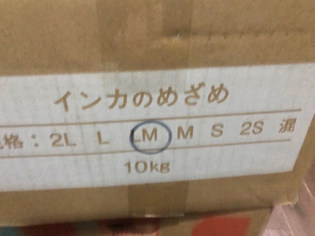 全体のレビュー画像 | 6-0