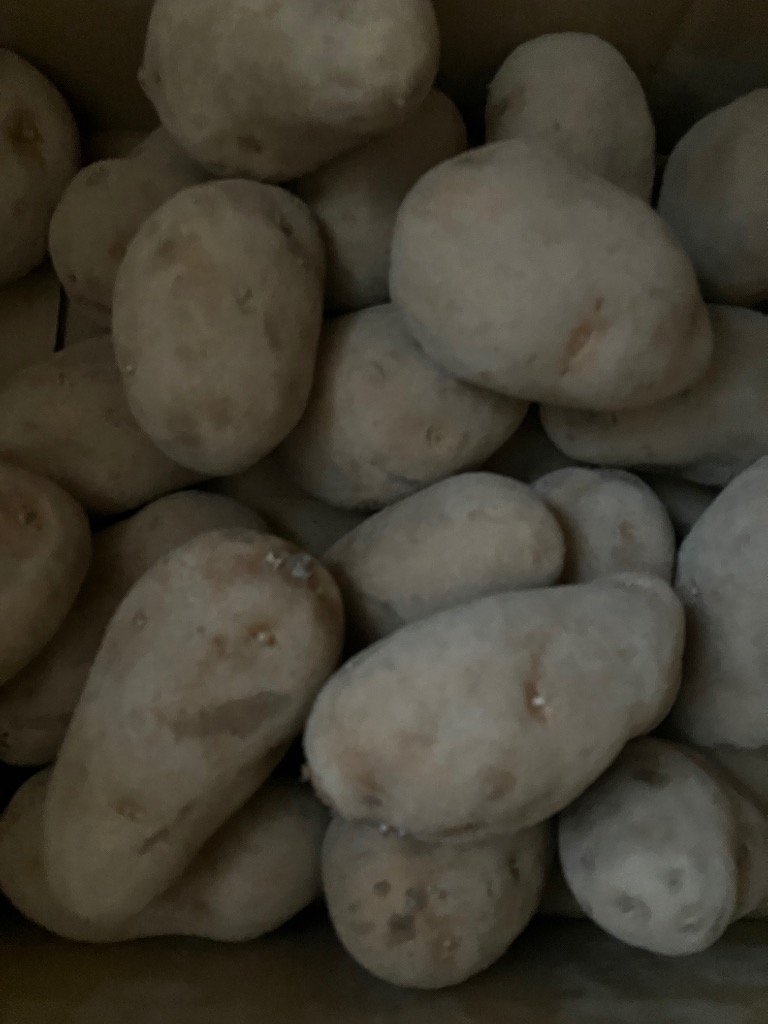 全体のレビュー画像 | 7-0