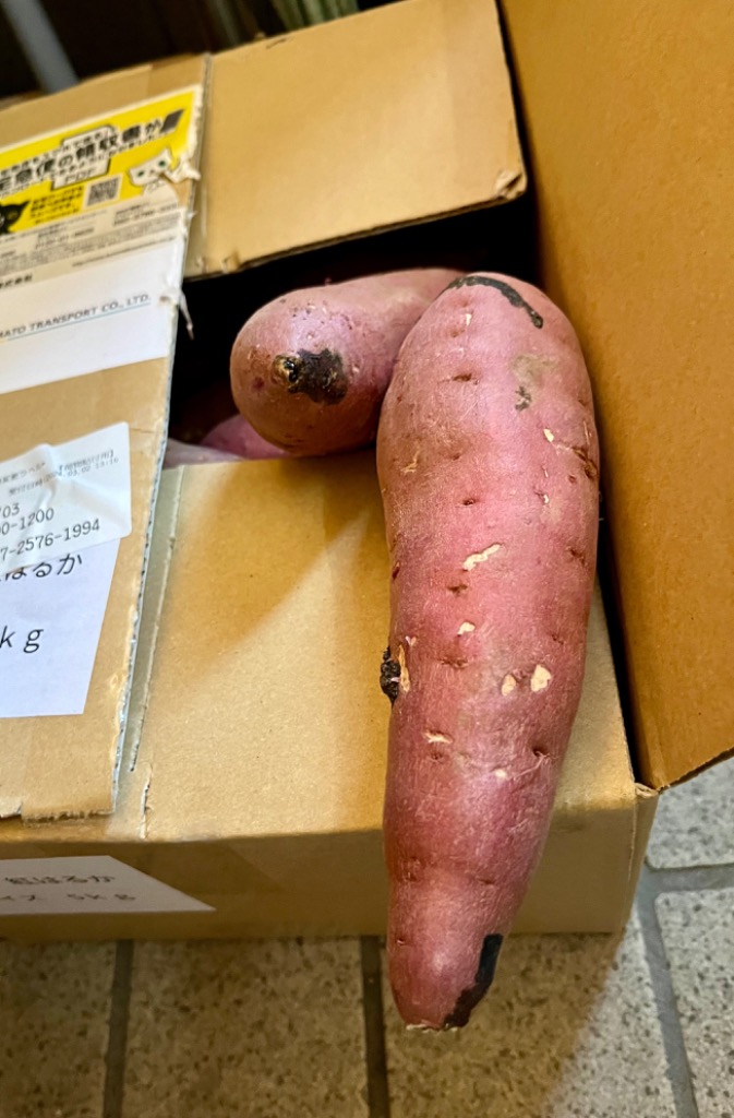 6件目のレビュー画像 | 0