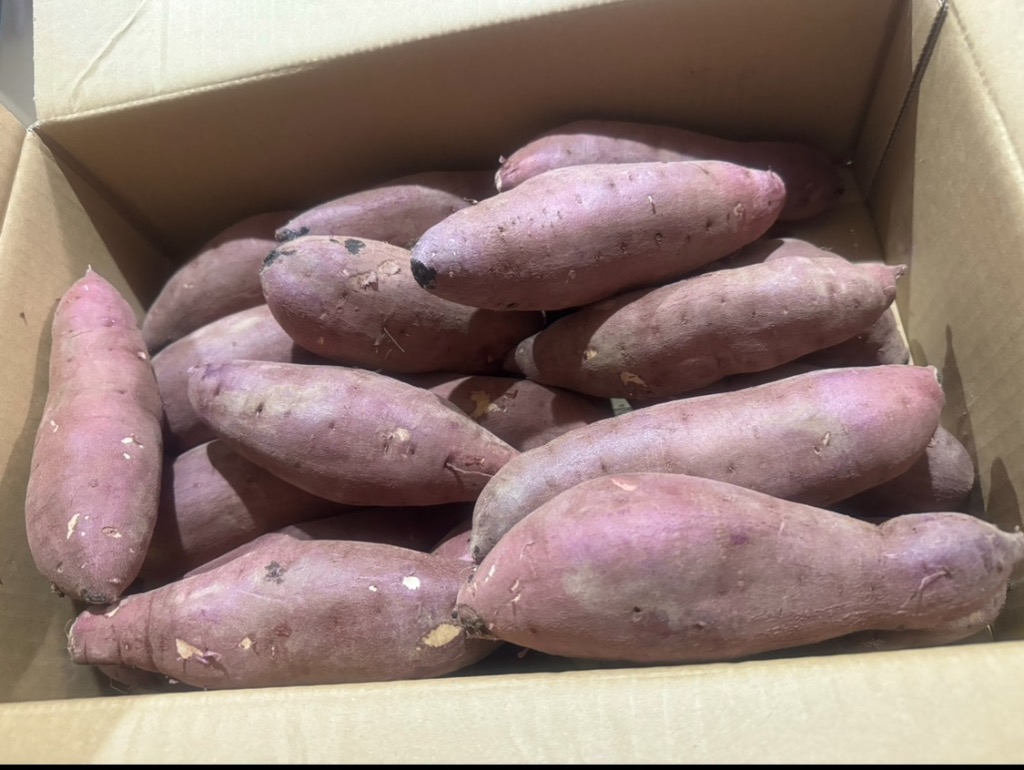 10件目のレビュー画像 | 0