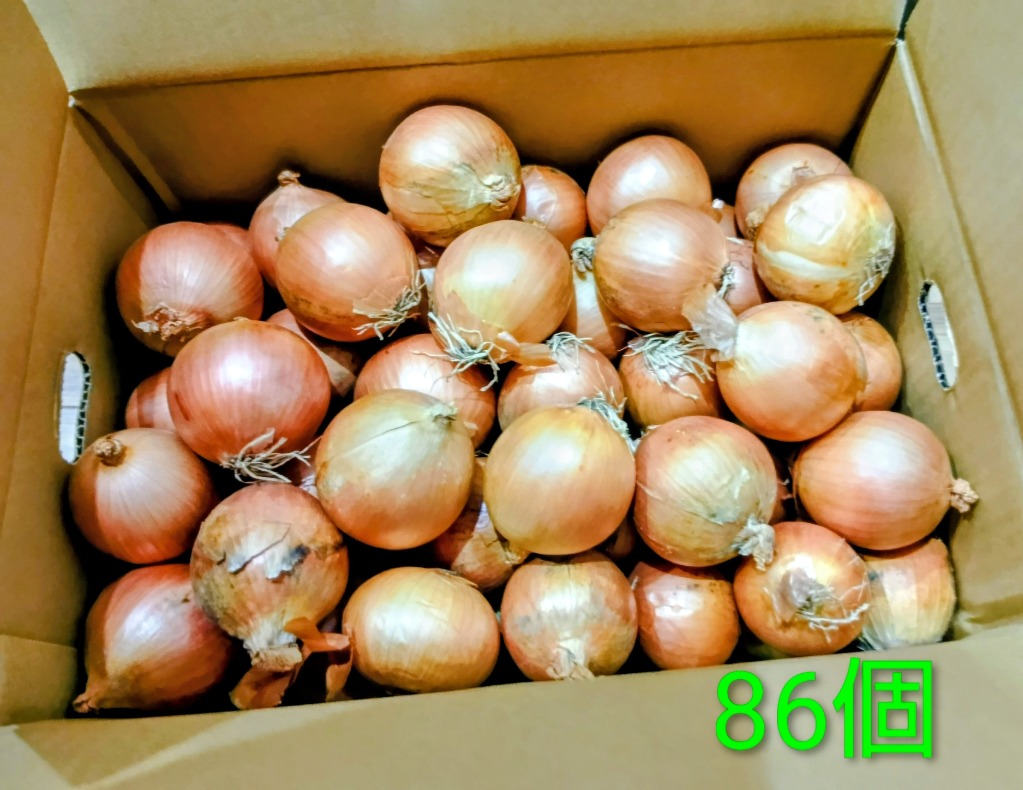 全体のレビュー画像 | 2-0