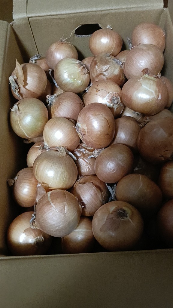 全体のレビュー画像 | 3-0