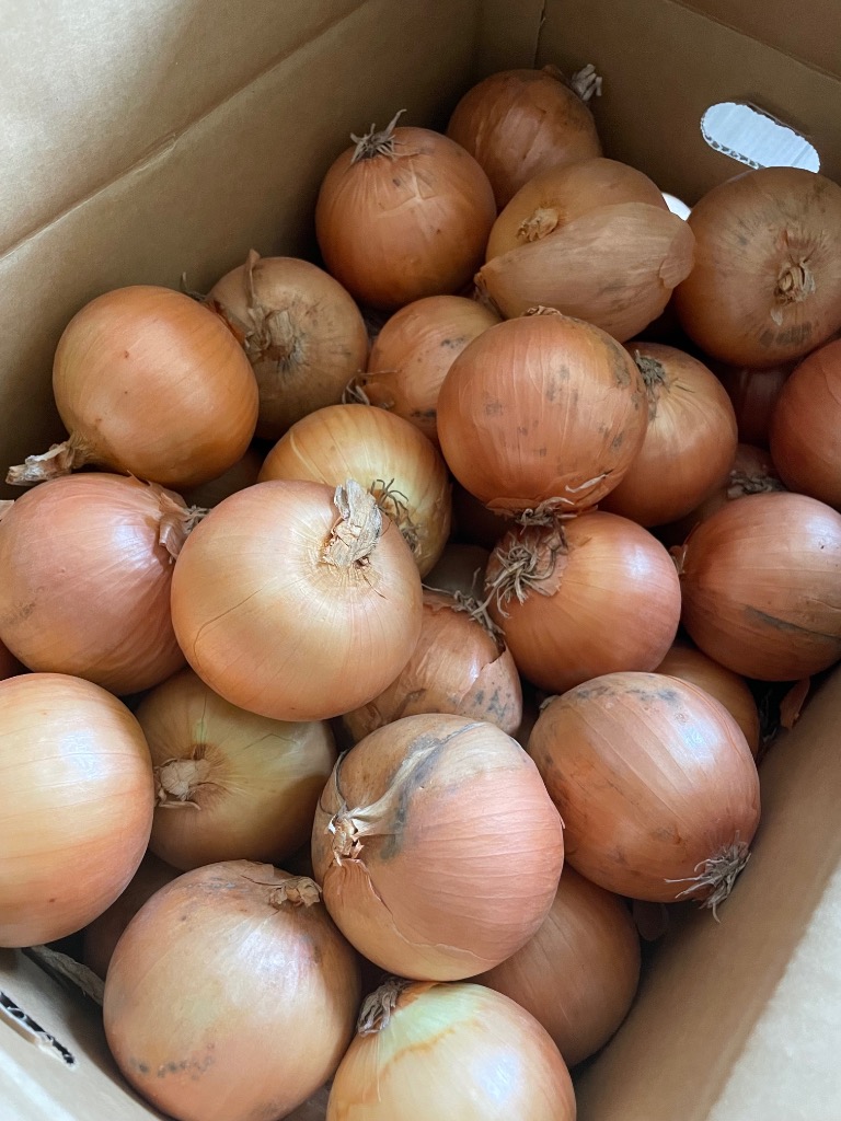 全体のレビュー画像 | 1-0