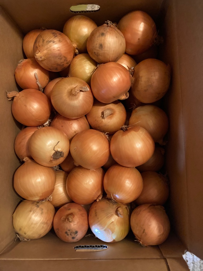 全体のレビュー画像 | 9-0