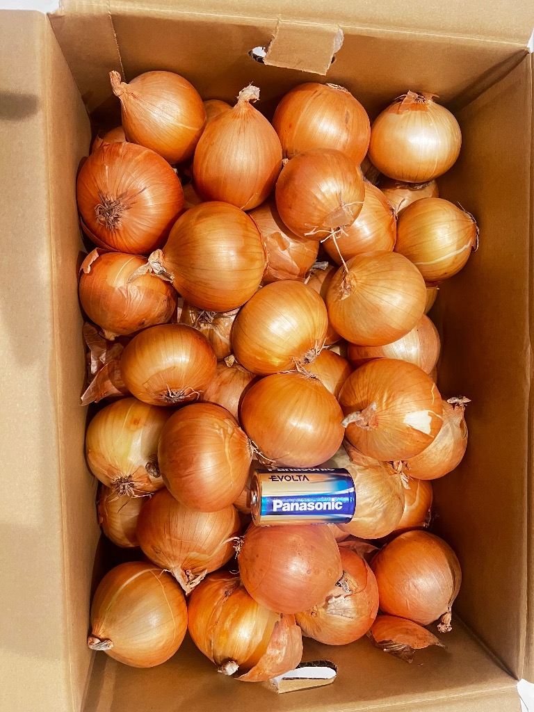 全体のレビュー画像 | 0-0