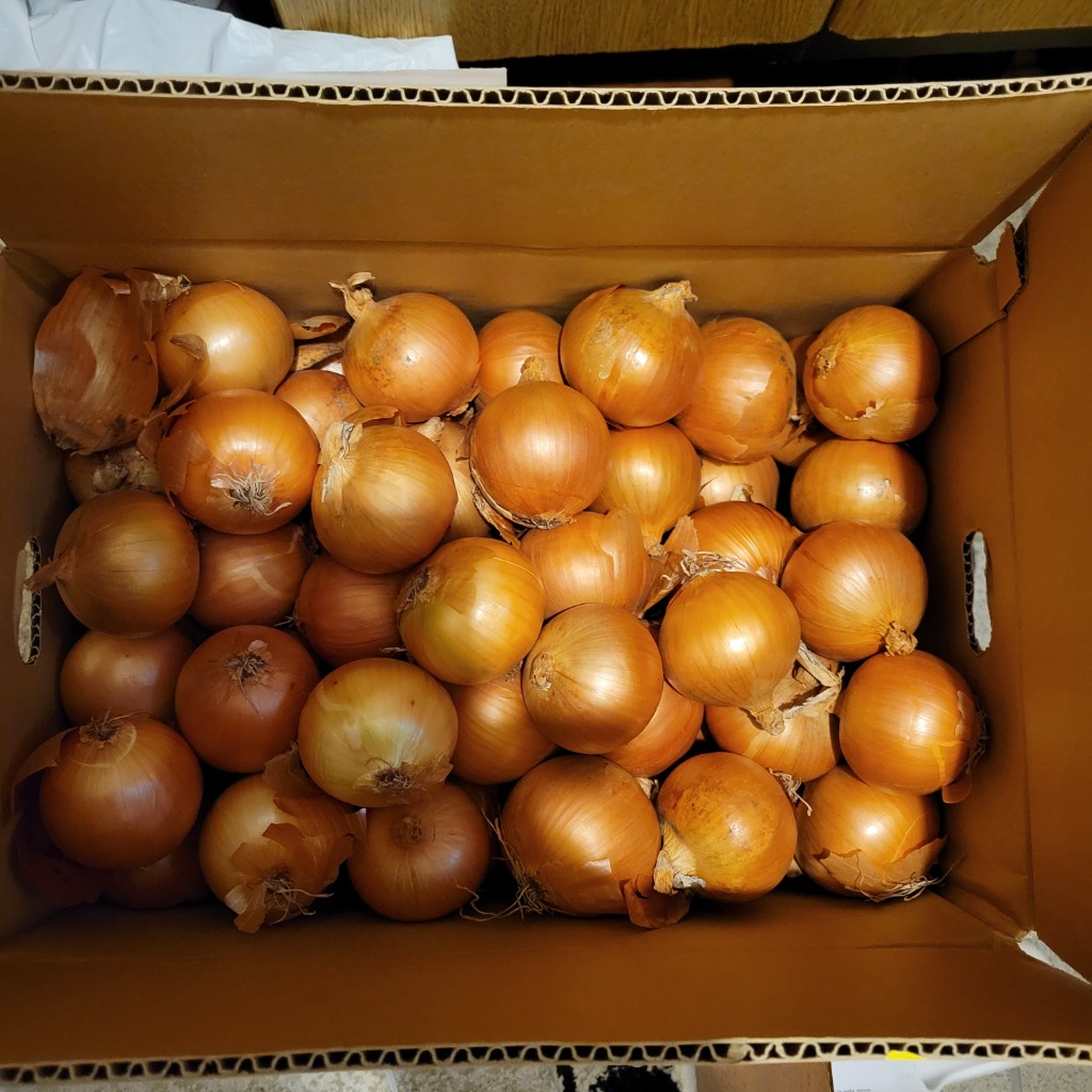 全体のレビュー画像 | 11-0