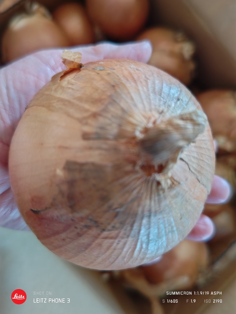 全体のレビュー画像 | 9-3