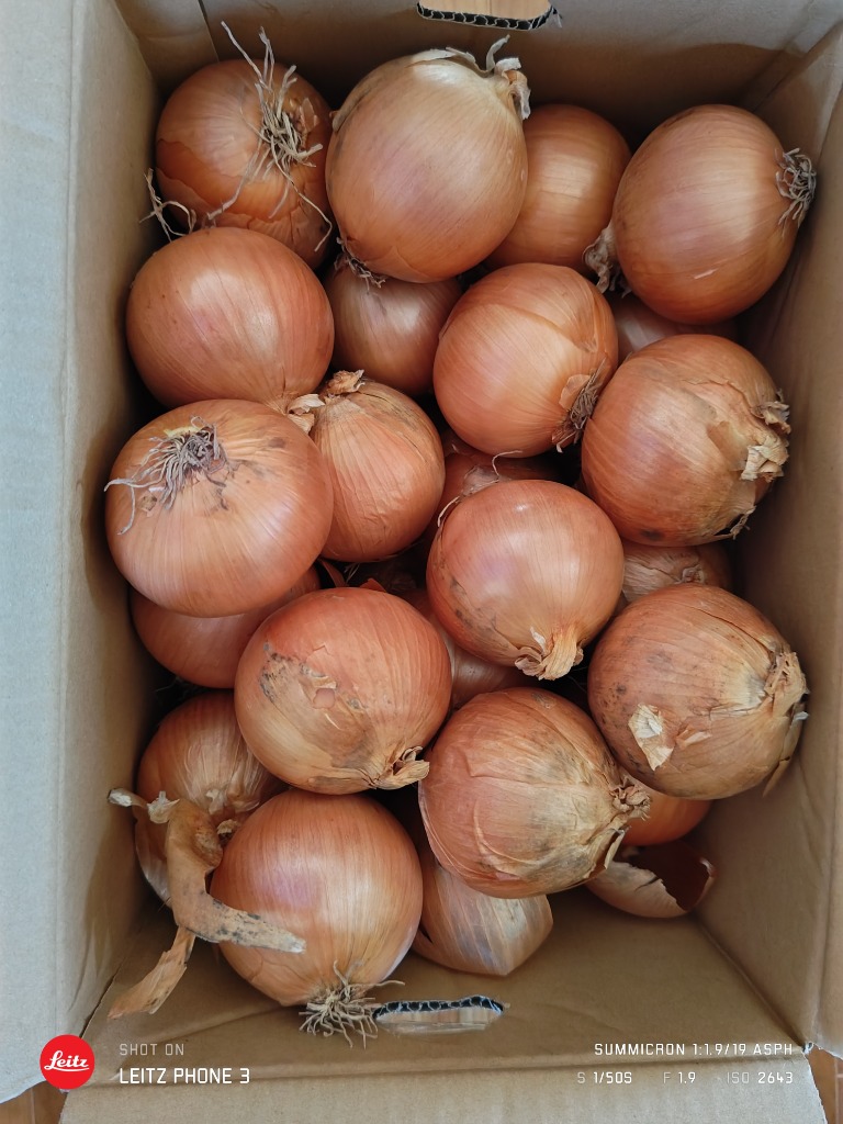 全体のレビュー画像 | 9-2