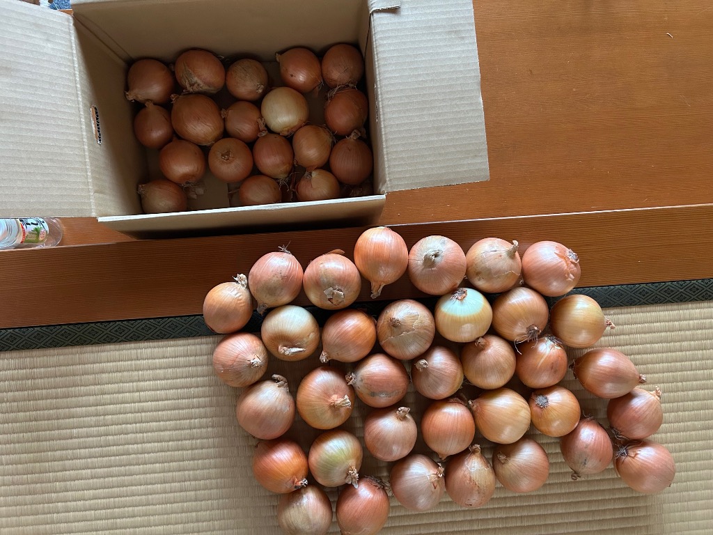 全体のレビュー画像 | 4-0