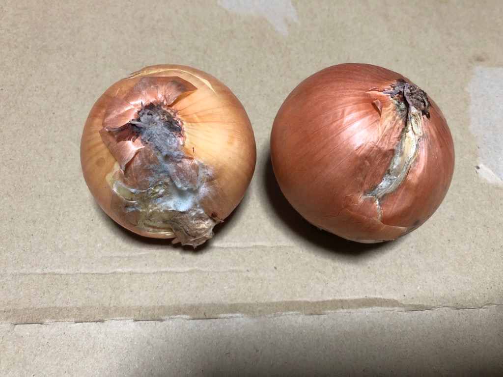 全体のレビュー画像 | 5-0