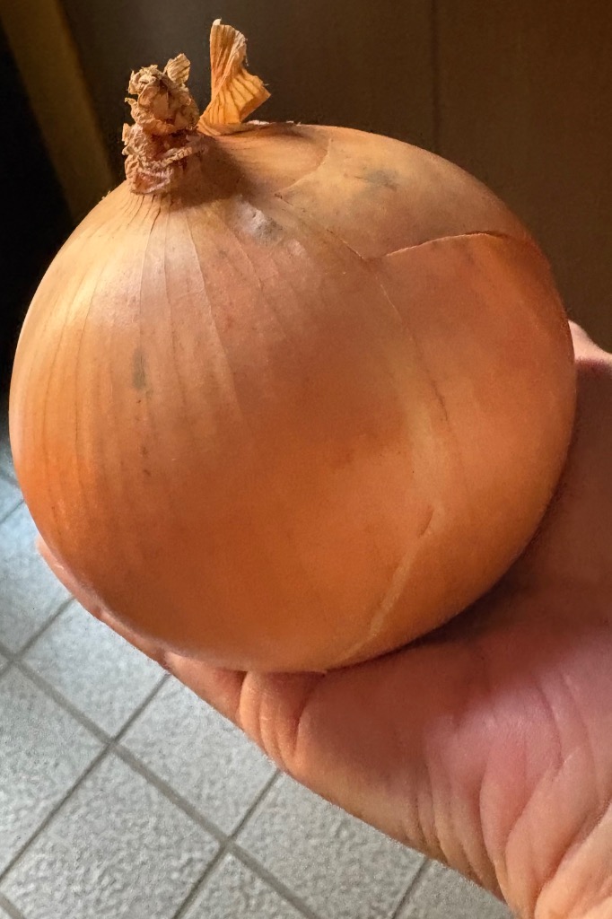 全体のレビュー画像 | 11-1