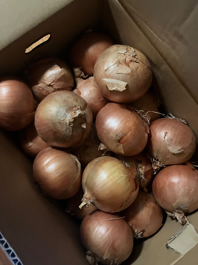 全体のレビュー画像 | 12-0