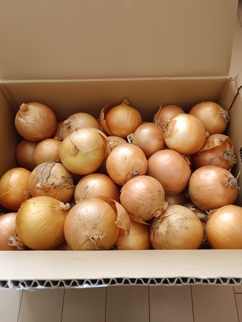 全体のレビュー画像 | 10-0