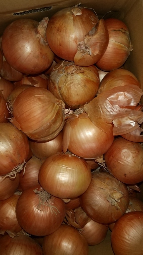 全体のレビュー画像 | 1-0