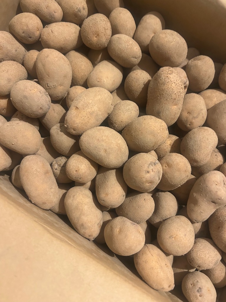 全体のレビュー画像 | 1-0