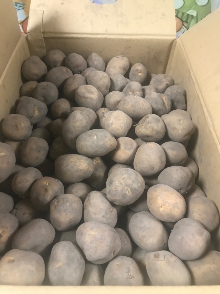 全体のレビュー画像 | 2-2