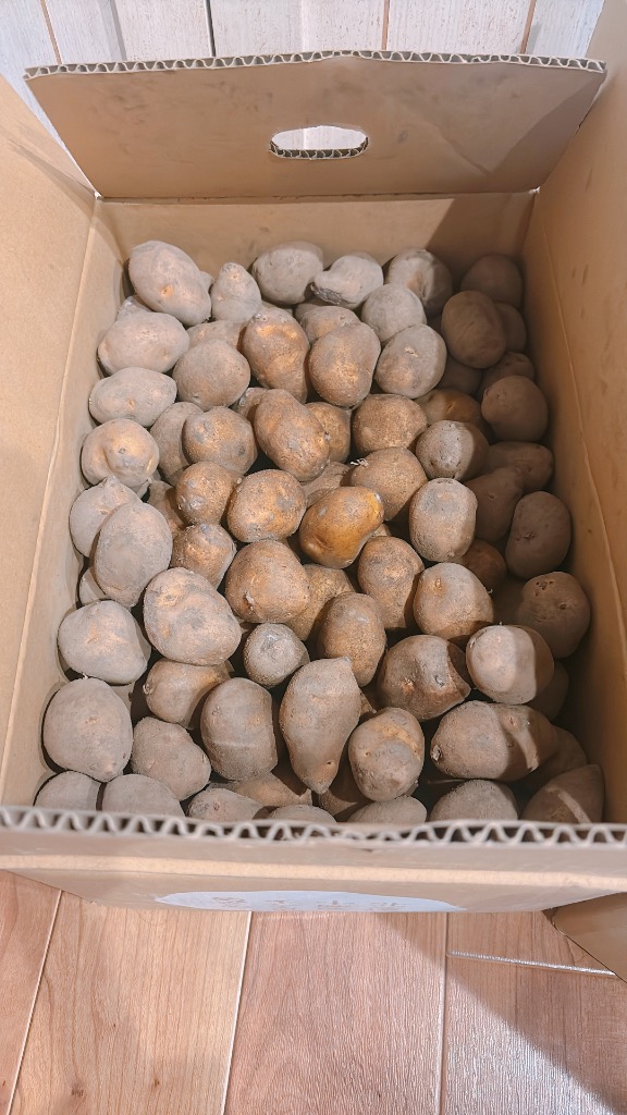 全体のレビュー画像 | 0-0