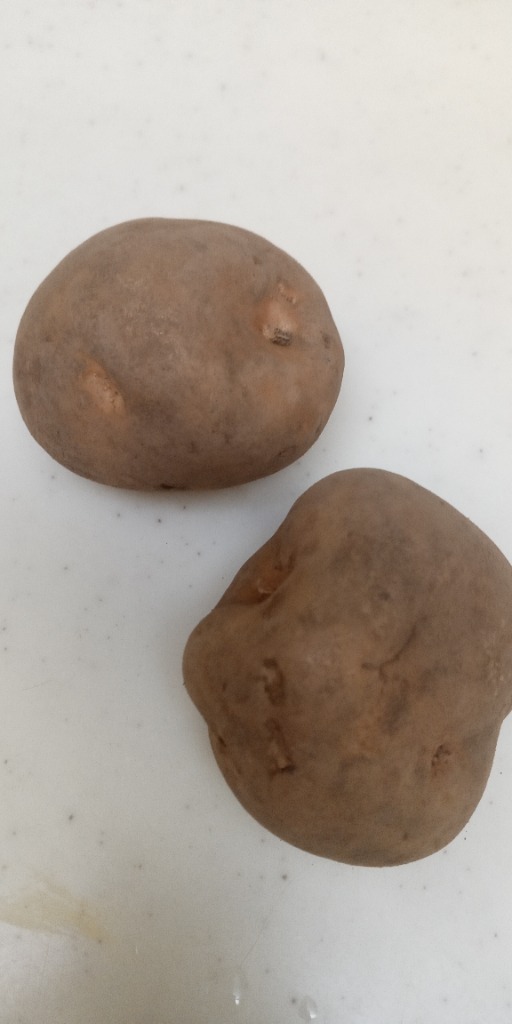 2件目のレビュー画像 | 0